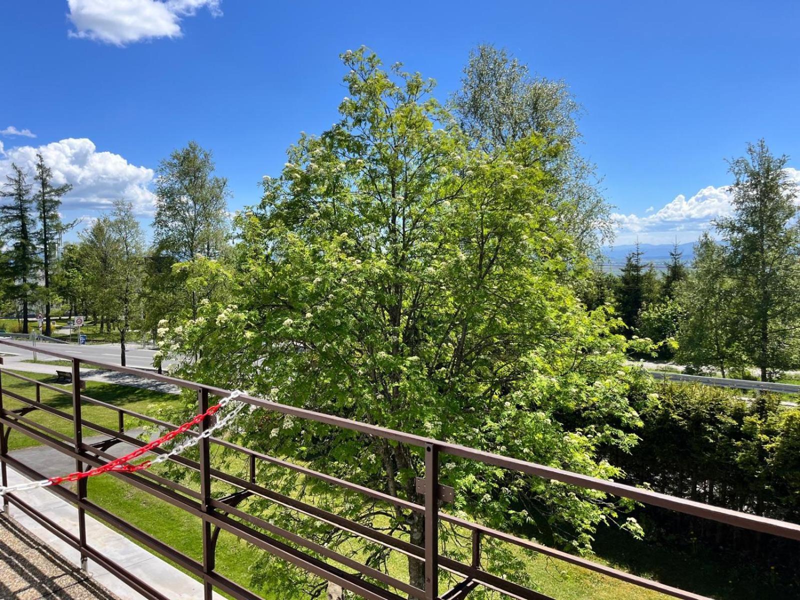 Penzion Villa Gerlach Vysoké Tatry Exterior foto
